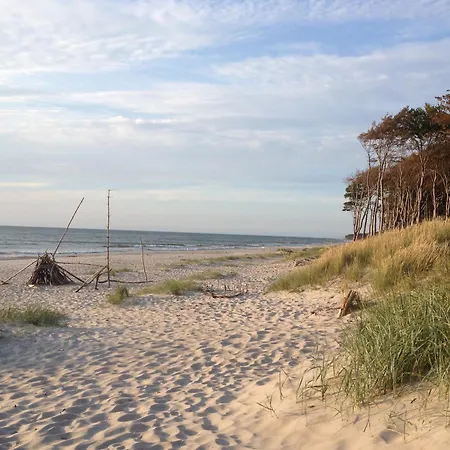 34 - Halbinsel Darss - Ostsee *