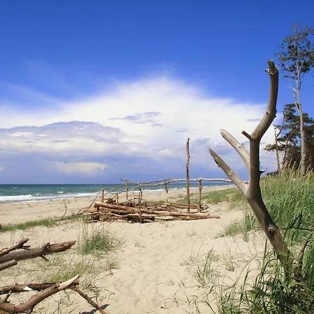 34 - Halbinsel Darss - Ostsee Wieck