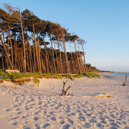 Apartman 34 - Halbinsel Darss - Ostsee Wieck