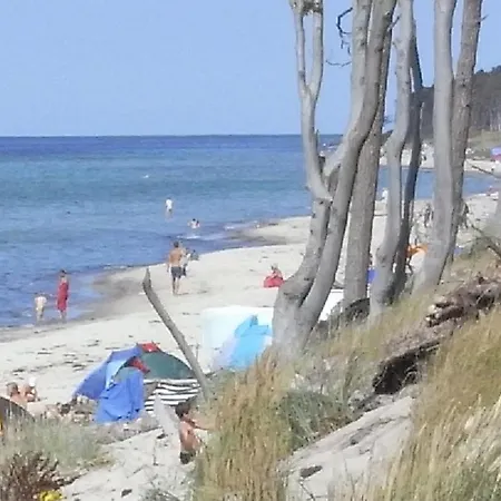 34 - Halbinsel Darss - Ostsee 비에크